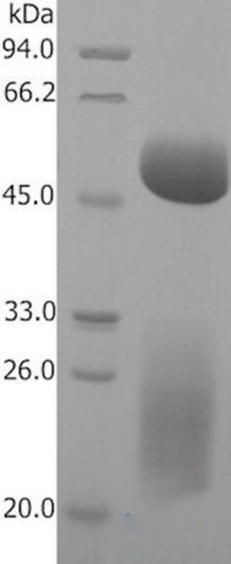 圖片29.jpg 圖片29.jpg