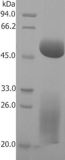 圖片29.jpg 圖片29.jpg